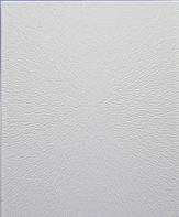 fauxplafond